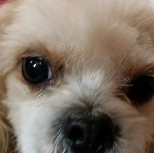 Meet your Posher, Jane